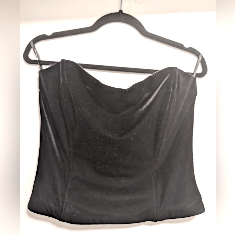 Scott McClintock Vintage Velvet Bustier Top